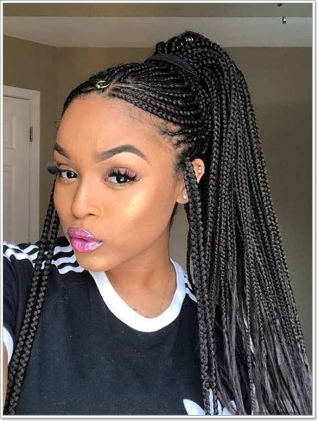 70+ Chic and Trendy Tribal Braids for Your Inner Goddess