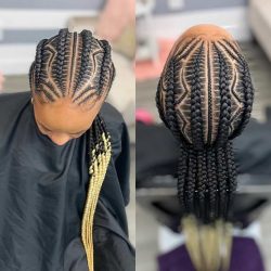 100 PHOTOS: Splendid Box Braids For Ladies – Black Braided Hairstyles ...