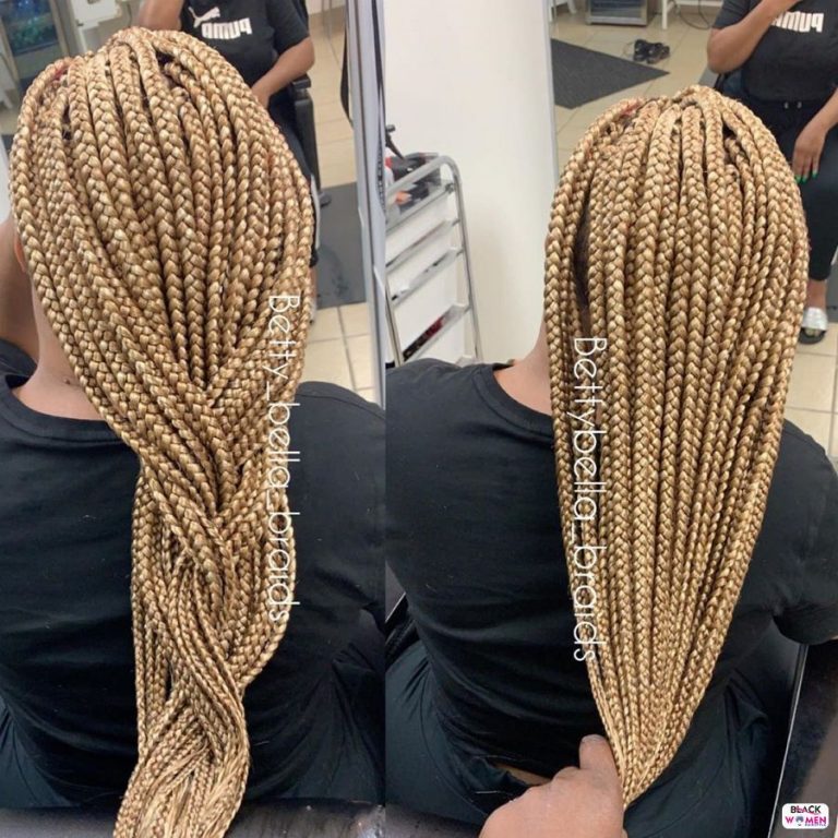 49 Pictures: Natural Braids Hairstyles Pictures: 2020 Best Braids For ...