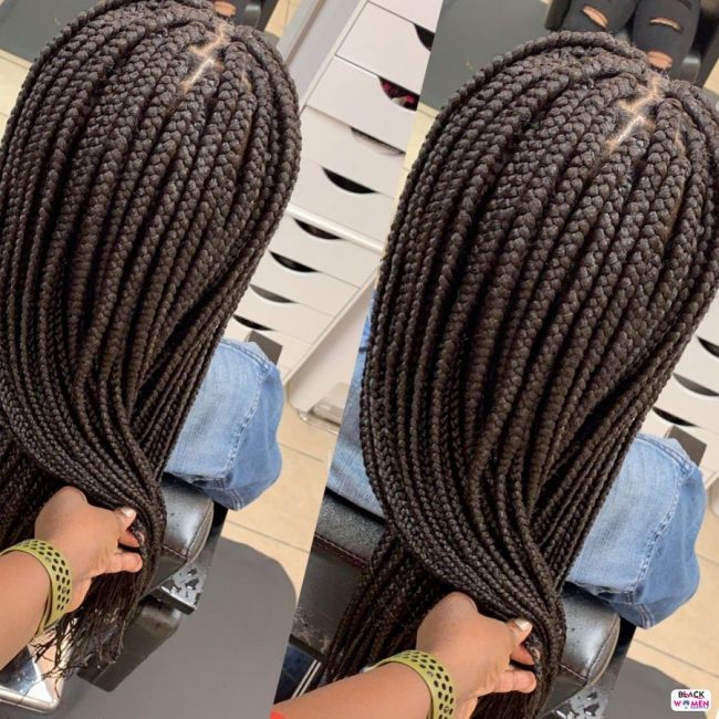 49 Pictures: Natural Braids Hairstyles Pictures: 2020 Best Braids For ...