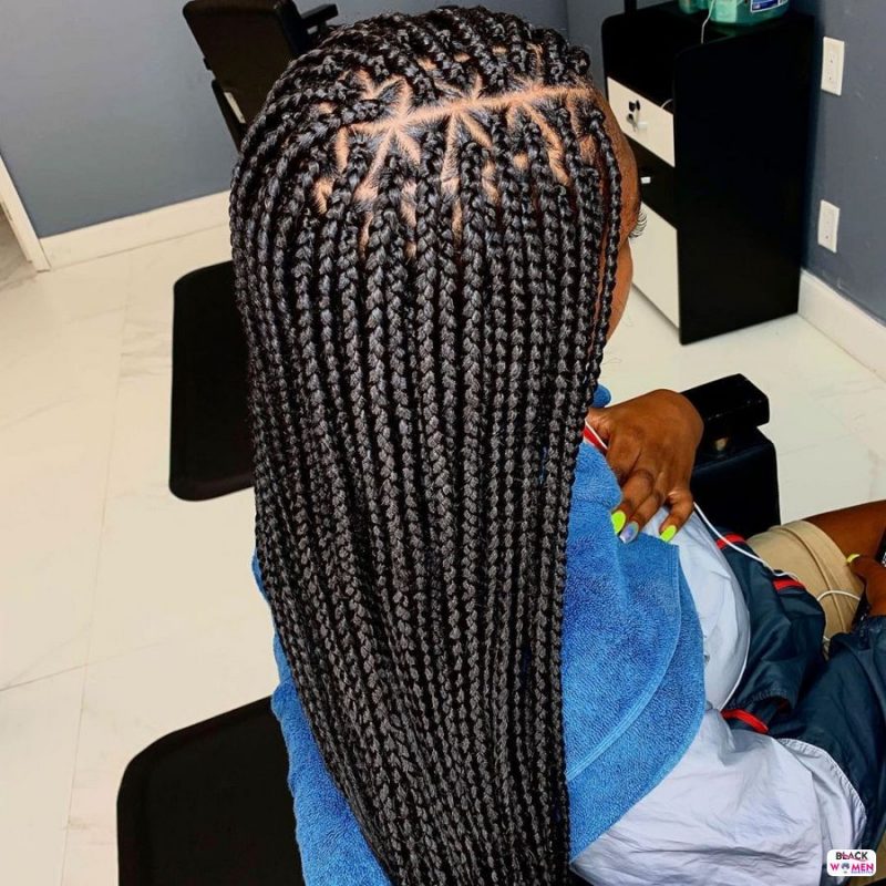 49 Pictures: Natural Braids Hairstyles Pictures: 2020 Best Braids For ...