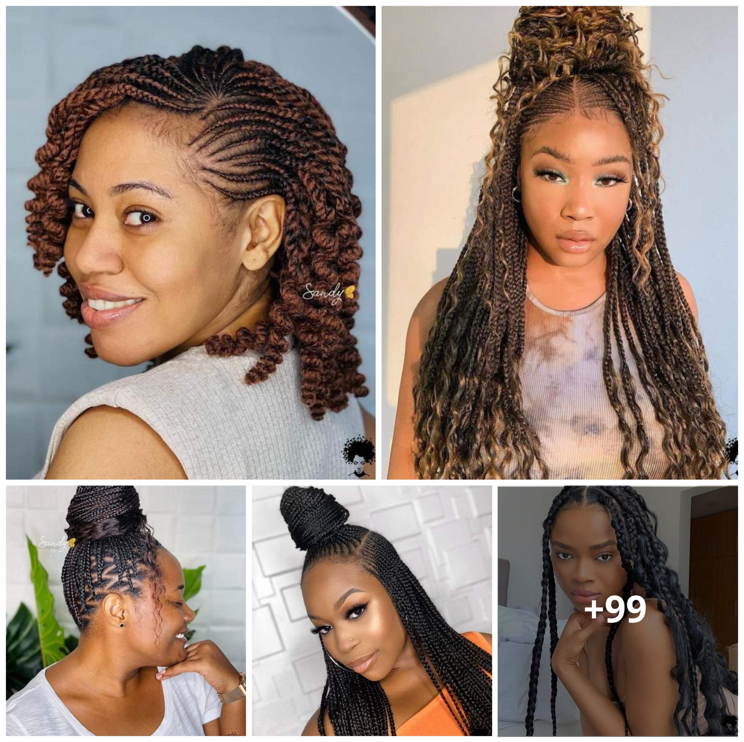 Stunning Braided Hairstyles to Transform Your Look