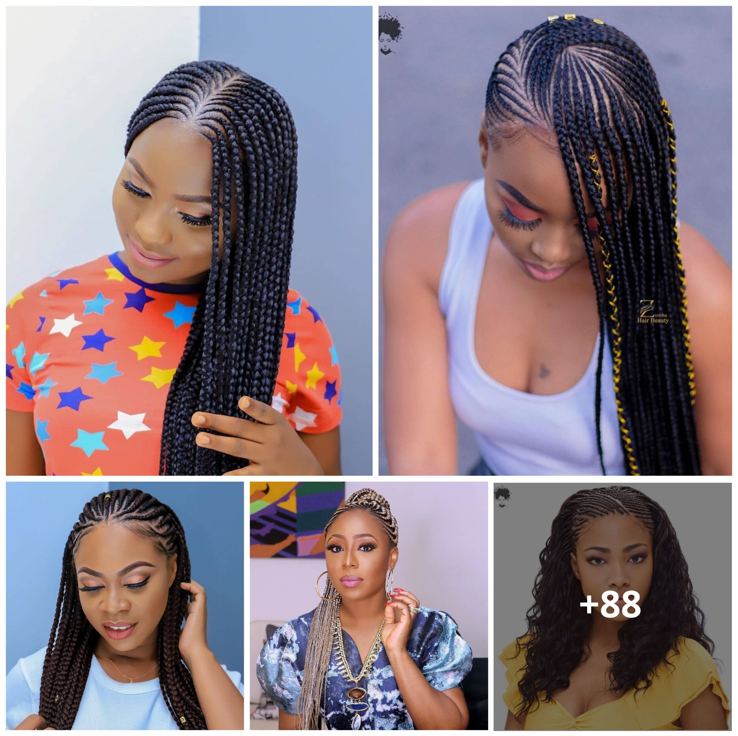 Top 88 Beautiful Braided Hairstyles You Have Never Seen