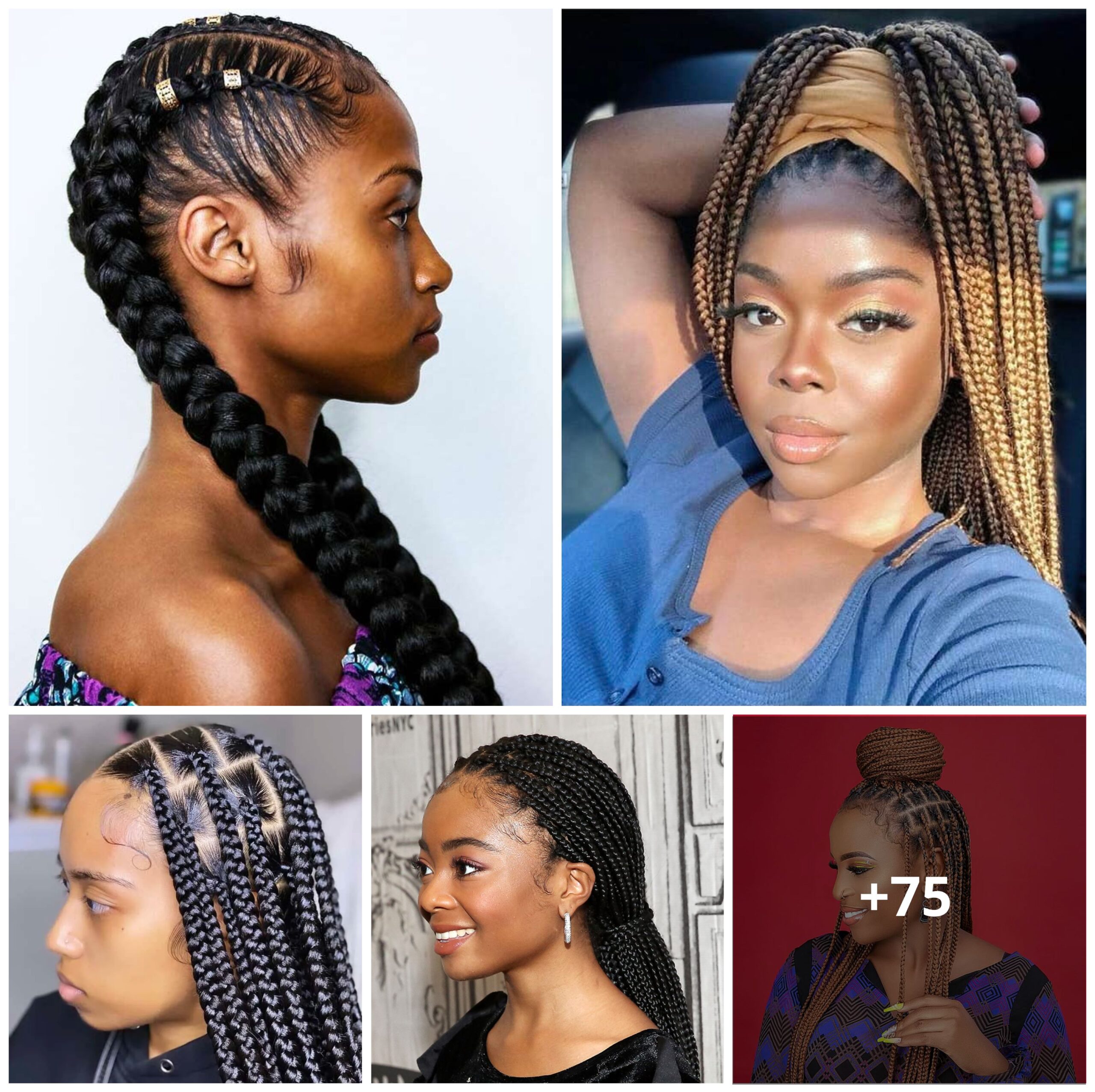 75+ Adorable Box Braided Hairstyles That Will Make You Look The Boss