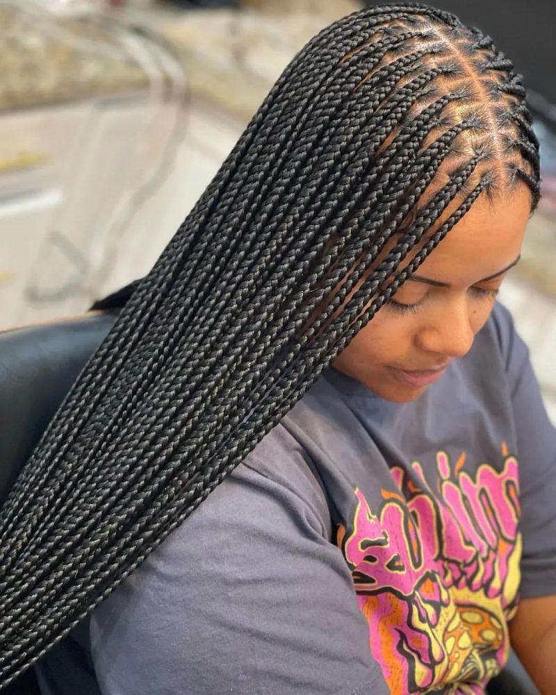 42+ Jaw-Dropping Braids Hairstyles Photos You Need to See for Inspiration