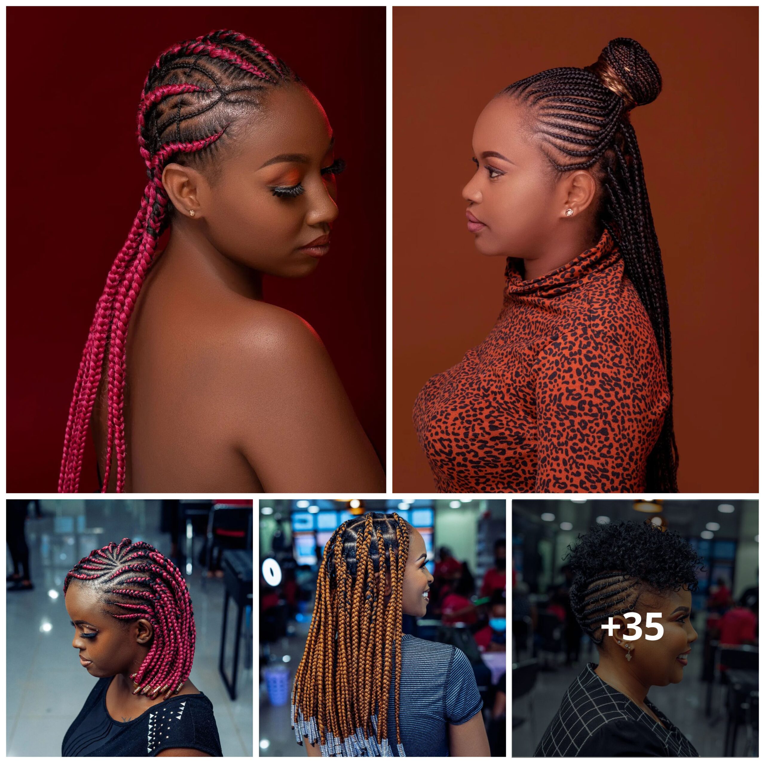 35+ PHOTOS: Release Your Inner Diva with Chic Braided Hairstyles!
