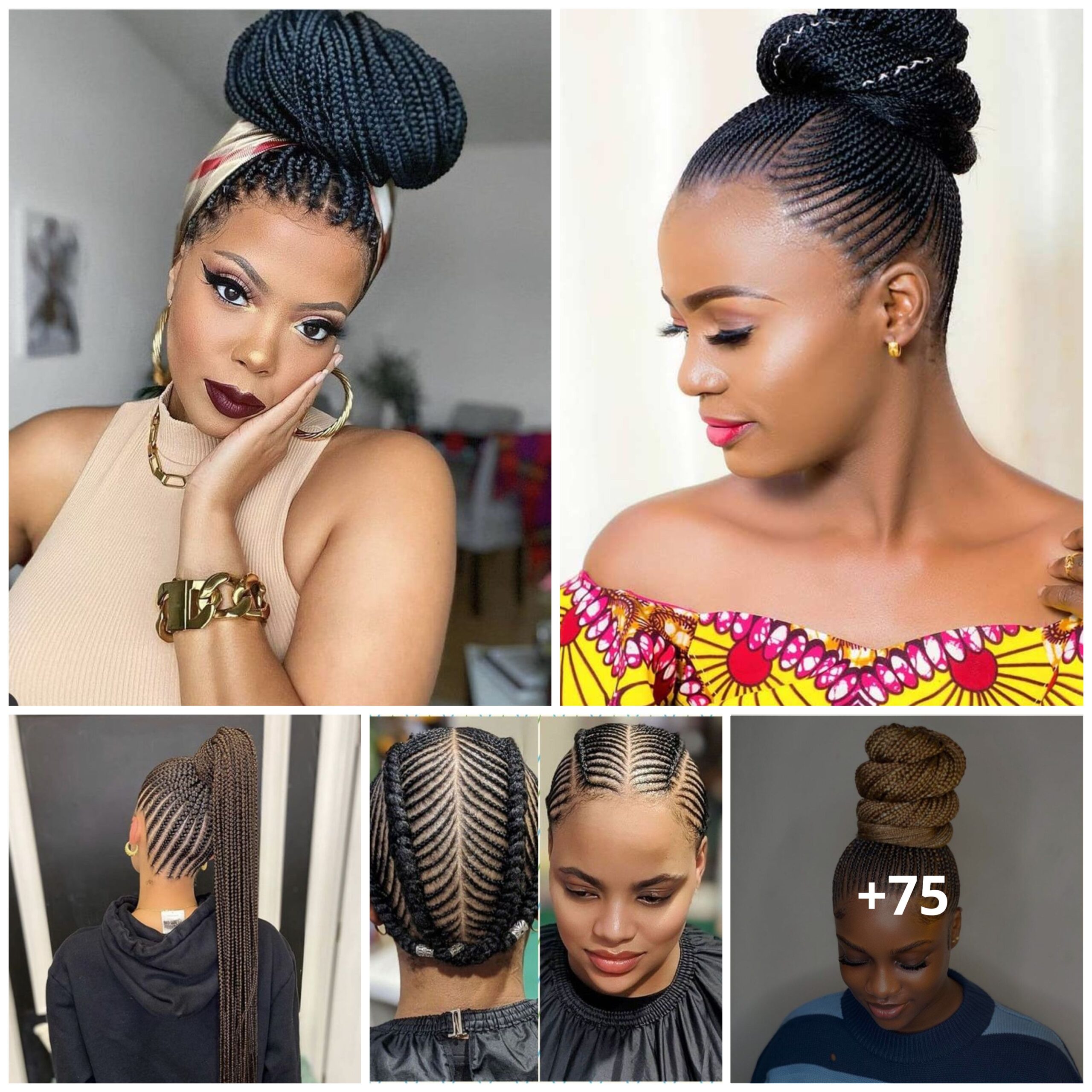 75+ Amazing Box Braided Hairstyles to Inspire Your Look
