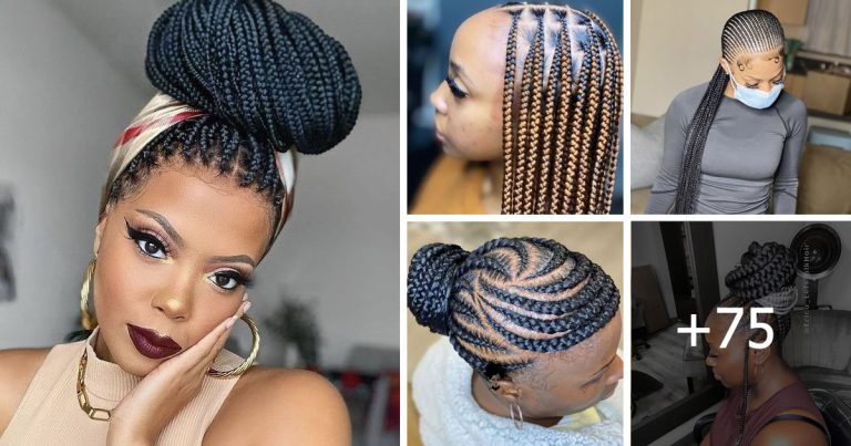 Photos Amazing Box Braided Hairstyles To Inspire Your Look