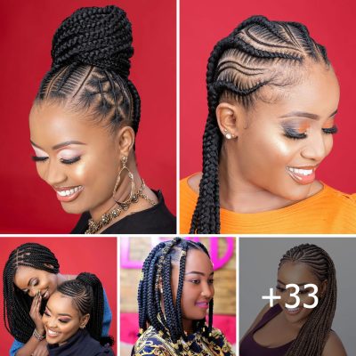 Braids Galore: 33 Stunning Hairstyles to Elevate Your Look – Hairstyle ...