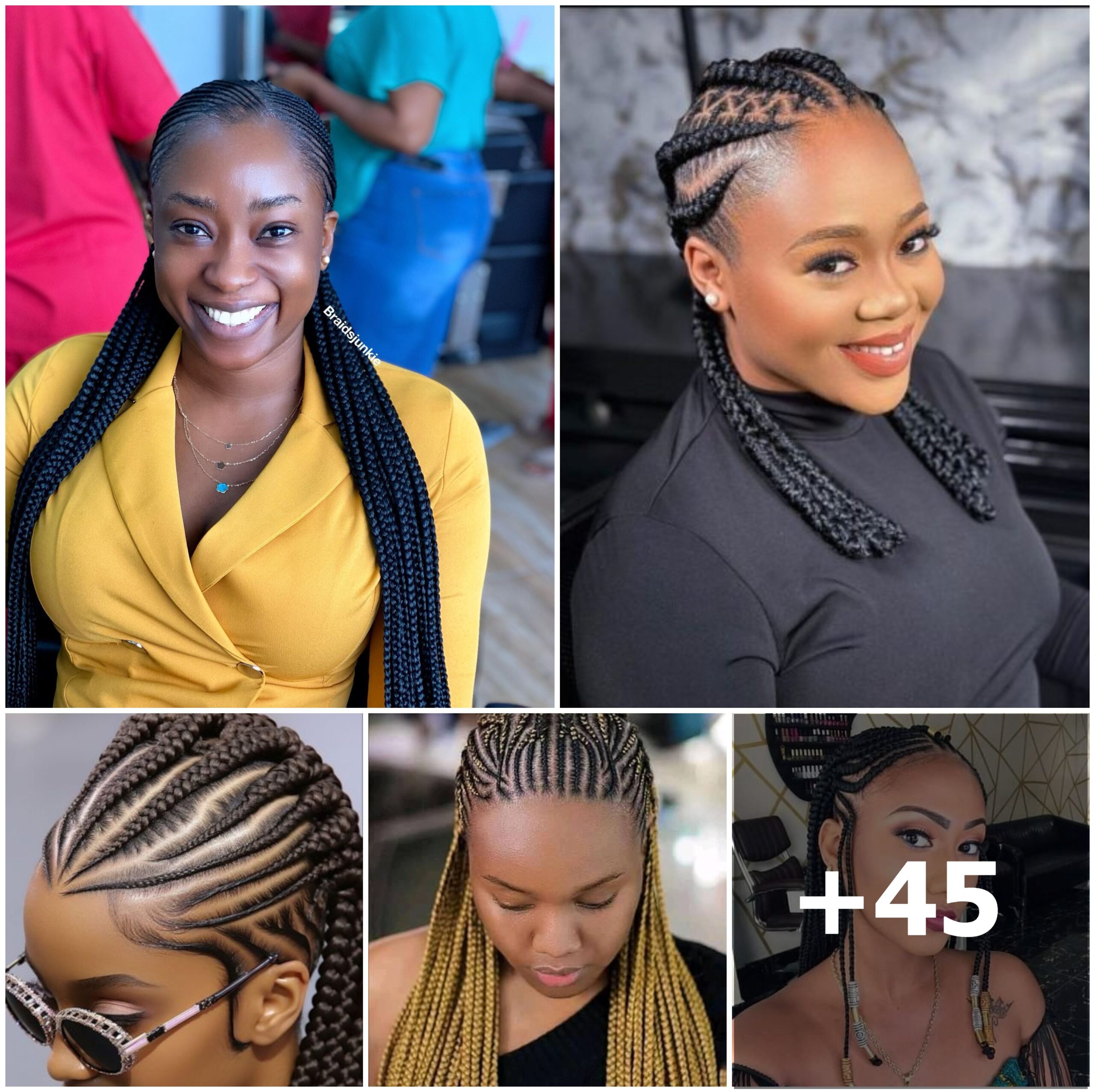 45+ Braiding Hairstyles for Ladies