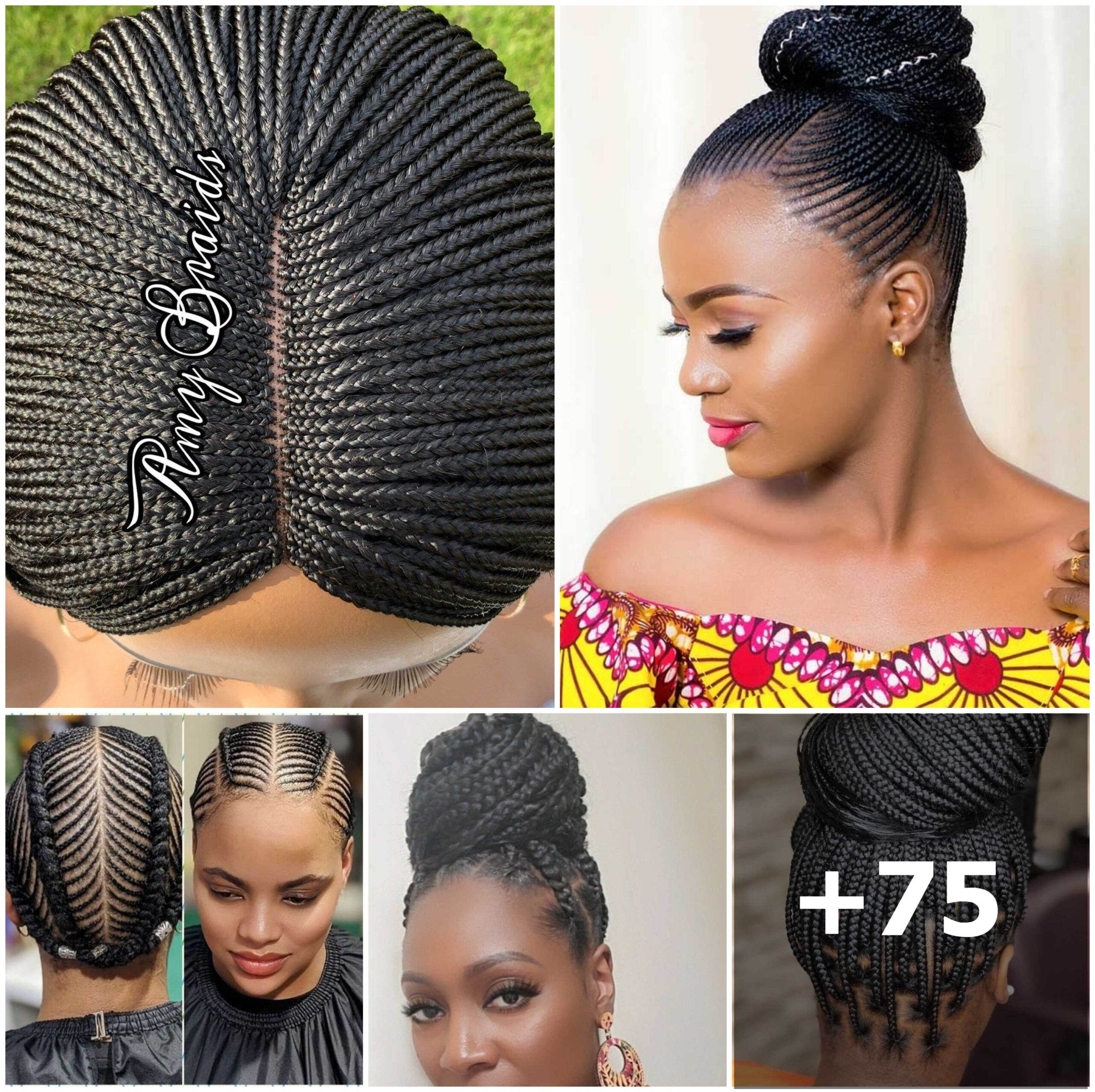 75+ Stunning Box Braided Hairstyles to Transform Your Look