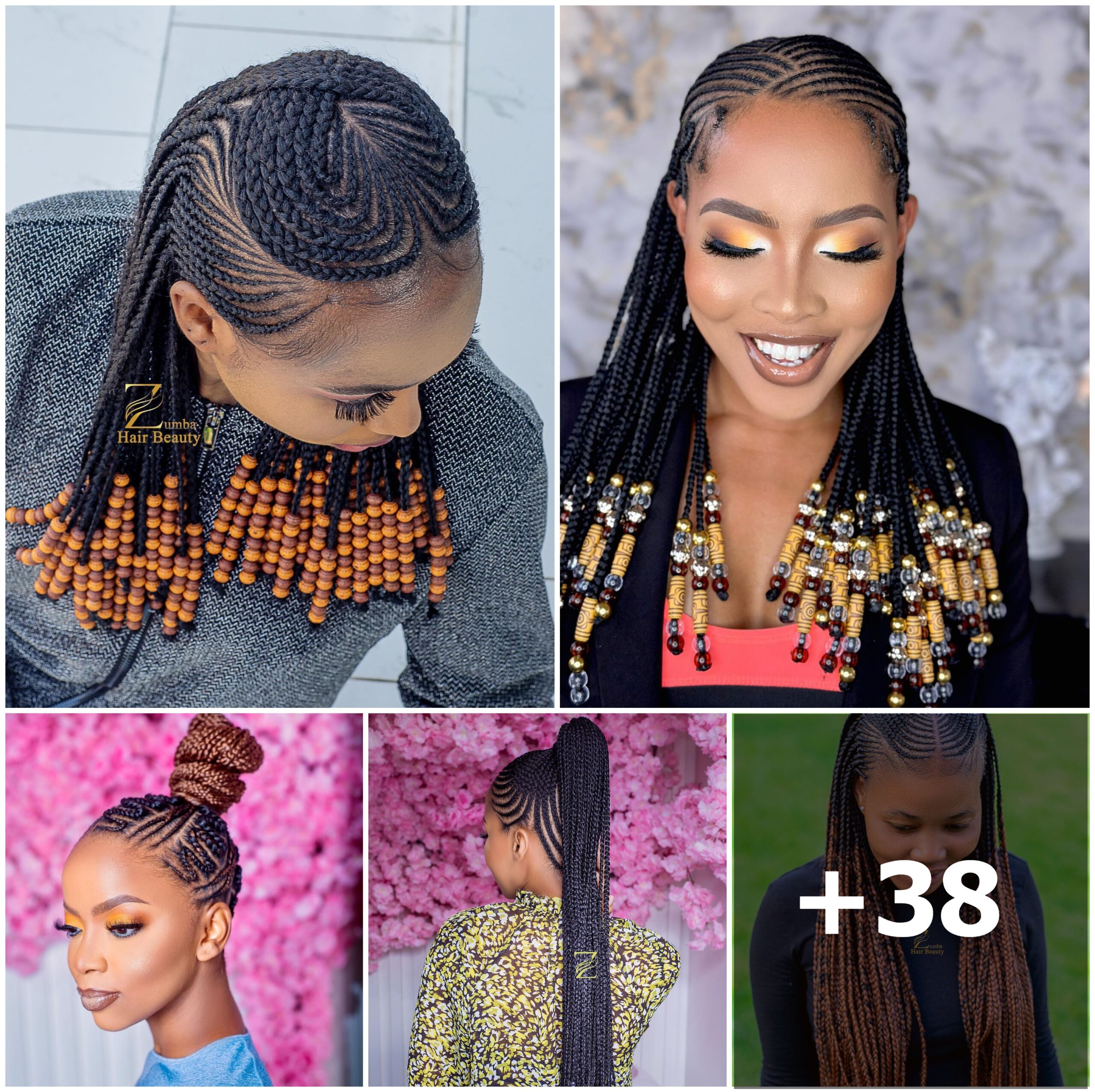 Braids Hairstyles Pictures For Classy Ladies: Elegant braided styles for a sophisticated appearance.