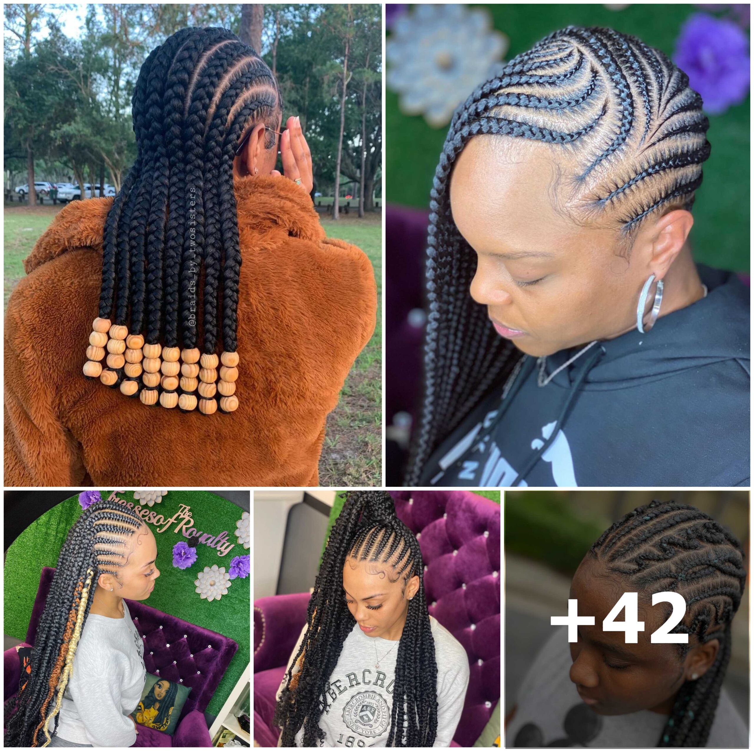 Discover the Charm: 42 Braided Hairstyles for Every Classy Lady