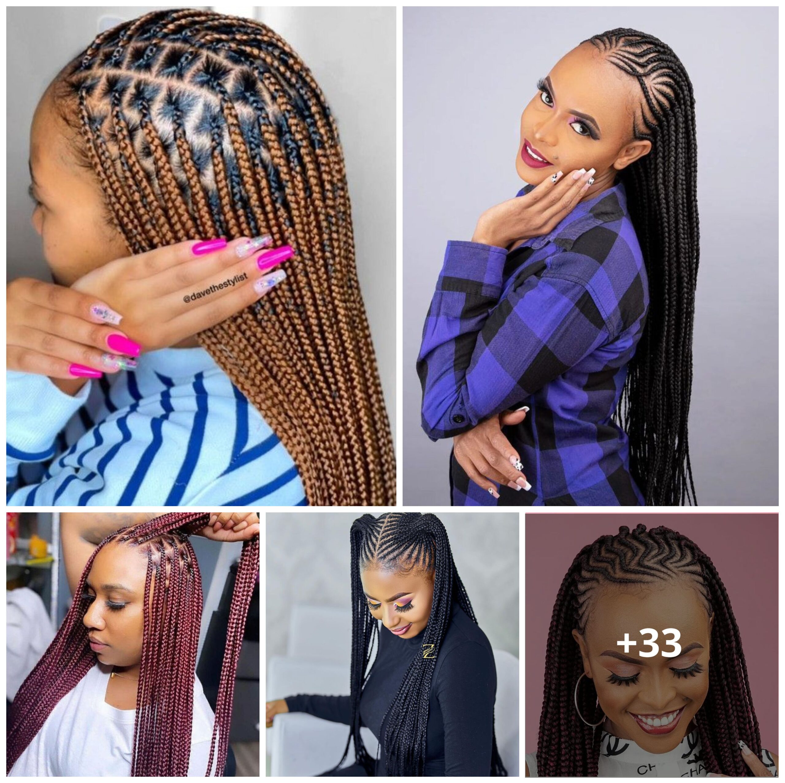 33 Beautiful Black Braided Hairstyles for a Bold and Stylish Look