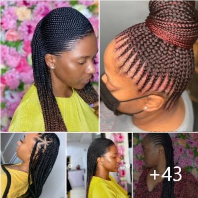 Tress to Impress: 43 Braided Hairstyles for Women That Will Turn Heads!