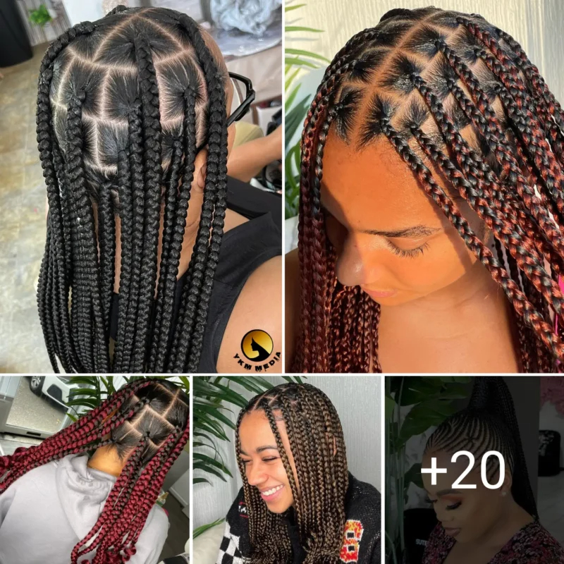 20 PHOTOS: Knotless braids styles – Box braids hairstyles