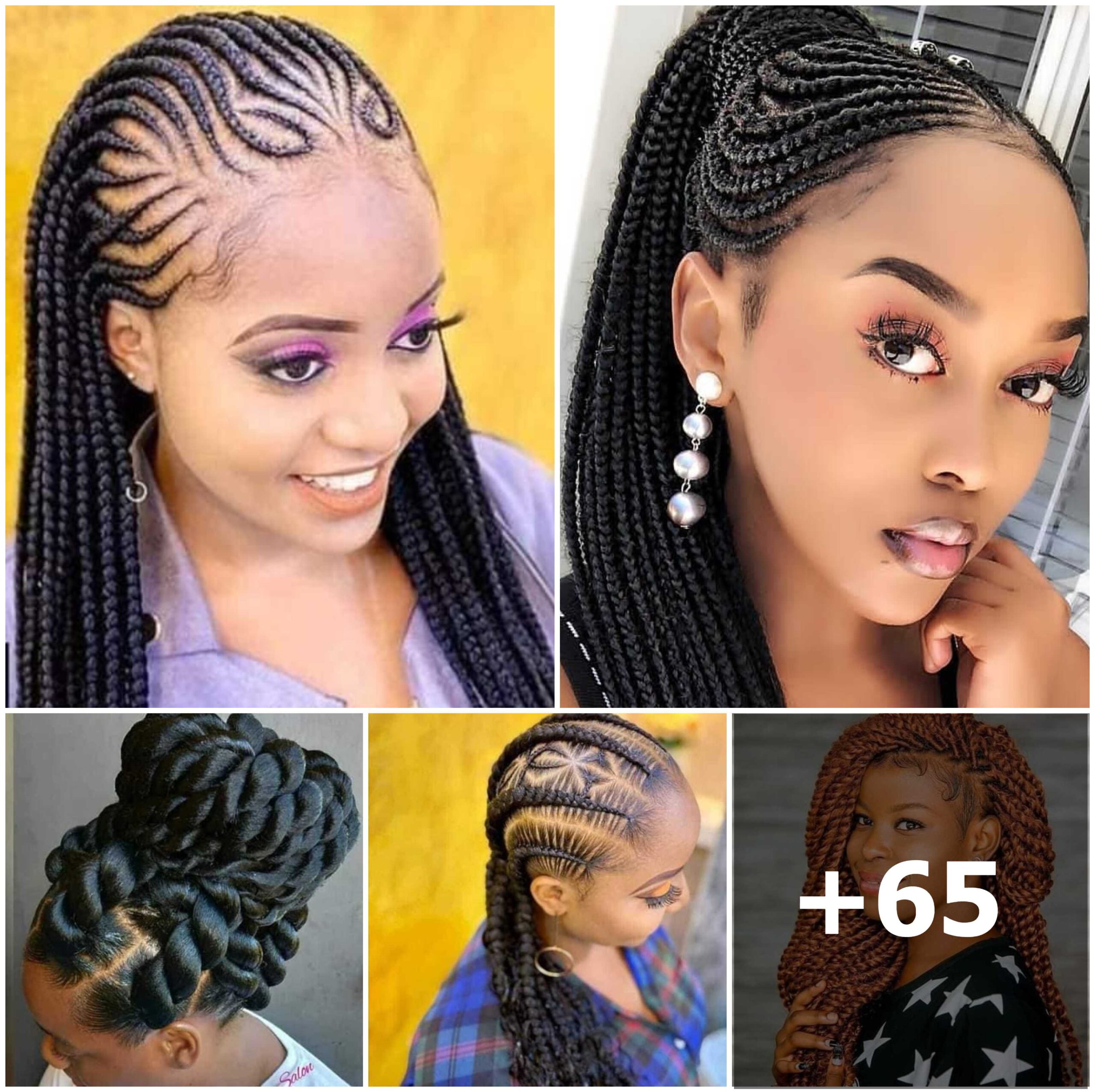 Sleek and Stylish Braided Hairstyles, Part 1